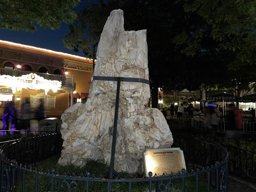 Disneyland's Petrified Tree
